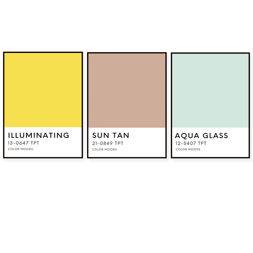 Sunshine state palette color p - Home Decor Color Palettes บทวิจารณ์และราคา