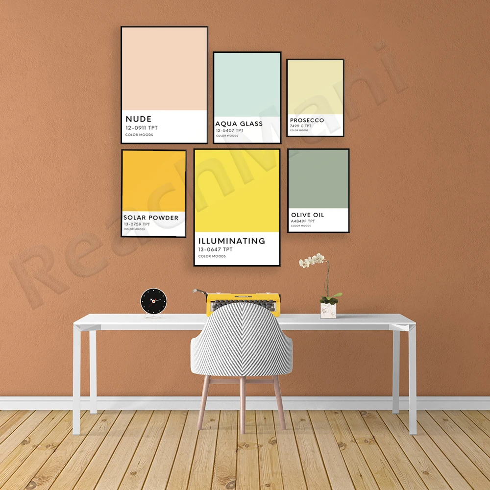 Sunshine state palette color p - Home Decor Color Palettes บทวิจารณ์และราคา