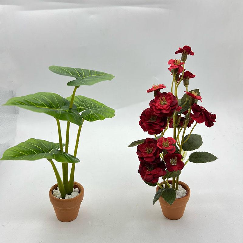 1Pcs Dollhouse Philodendron Mi - Home Decor Garden บทวิจารณ์และราคา