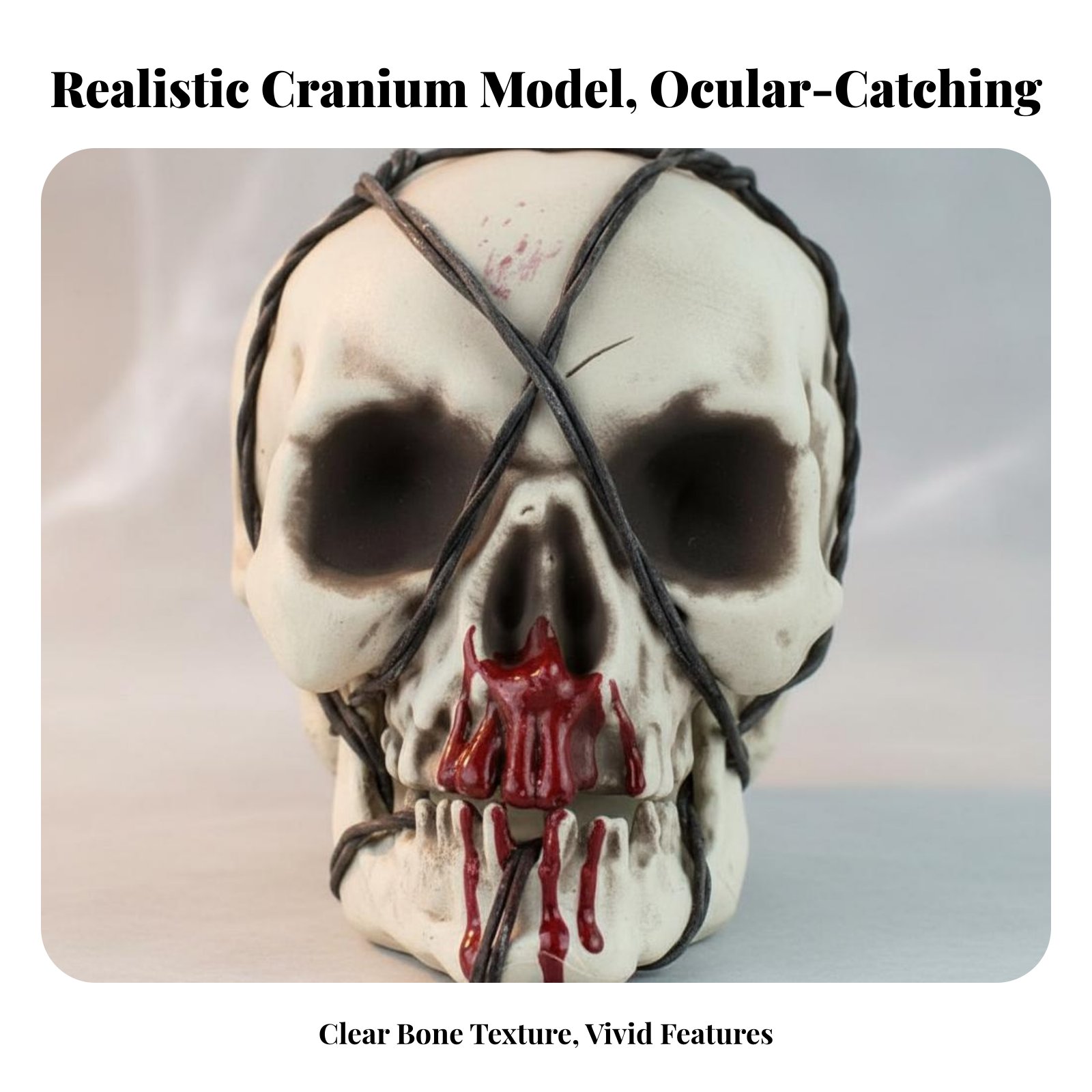 Realistic Skull Model Horror T - Home Decor You บทวิจารณ์และราคา